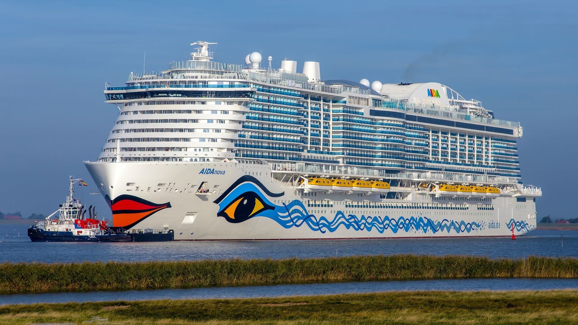 A large cruise ship with colorful designs on its hull sailing near a smaller tugboat in calm waters, with a grassy shoreline in the foreground.